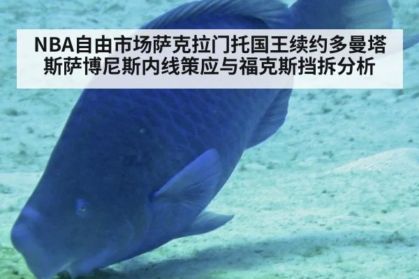 NBA自由市场萨克拉门托国王续约多曼塔斯萨博尼斯内线策应与福克斯挡拆分析